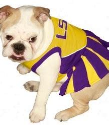 LSU Pet Cheerleader Dress